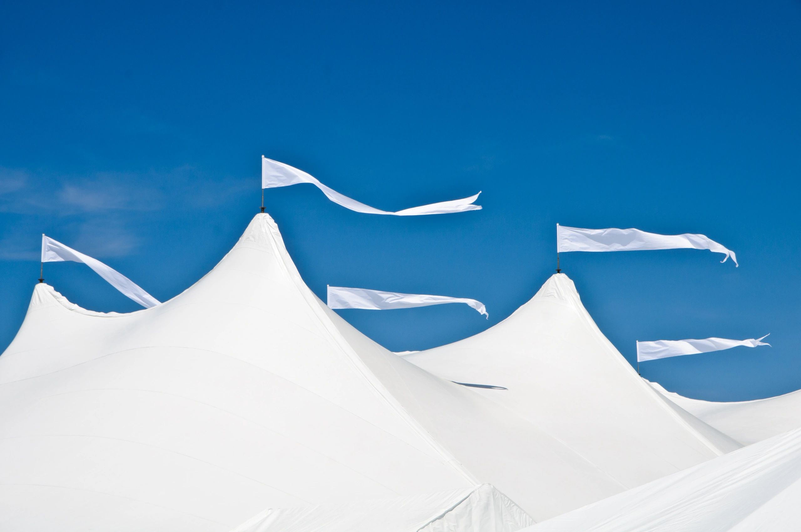 corporate event tent minimalist